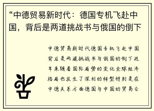 “中德贸易新时代：德国专机飞赴中国，背后是两道挑战书与俄国的倒下”